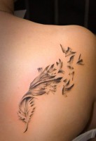 /album/fotogalereya/tatuirovka-peryishko-2-na-portale-tattoorussia-ru-jpg/